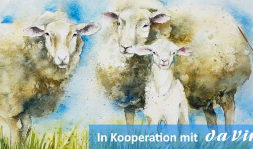 After Work: Auf dem Bauernhof - Die Schafe